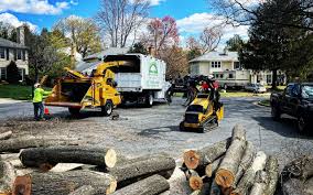 Best Storm Damage Tree Cleanup  in Gunnison, CO